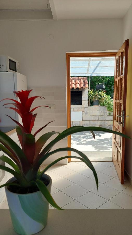 Apartmani Matea Zaton  Extérieur photo